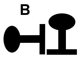 Rail B.jpg