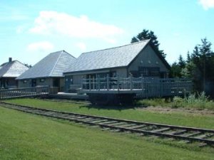 photo7.jpg