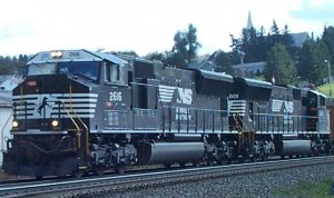 NS.JPG