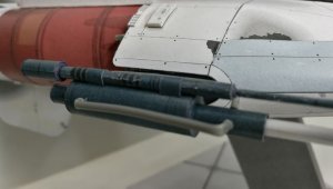 370.jpg