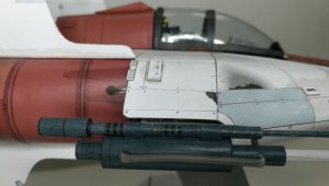 371.jpg