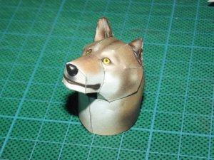 DSCF9231.jpg