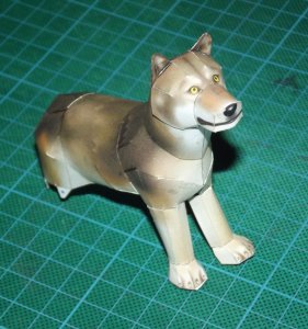 DSCF9236.jpg