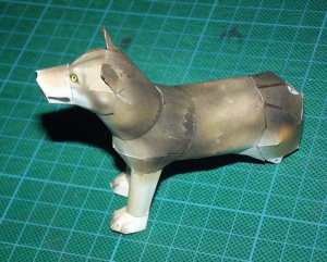 DSCF9237.jpg