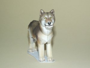 DSCF9244.jpg