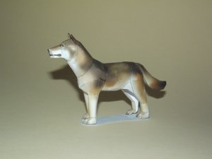 DSCF9245.jpg
