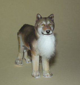 DSCF9253.jpg