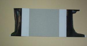 DSCF9255.jpg