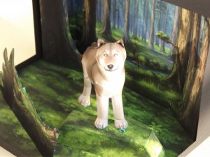DSCF9347.jpg