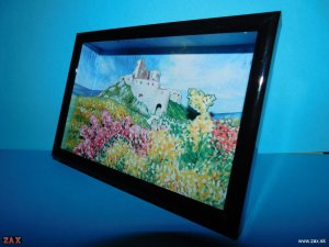 DSCN5627.jpg