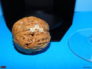 DSCN6177.jpg