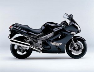 ZZr31200.jpg