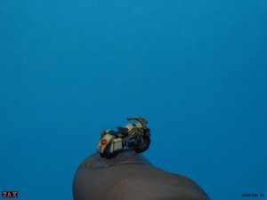 DSCN6270.jpg