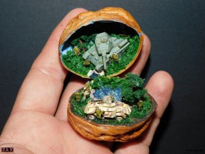 DSCN6380.jpg