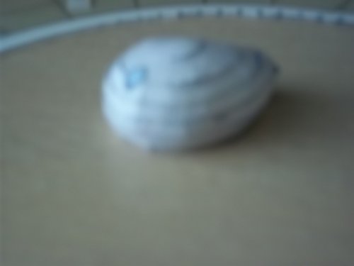 100_2064.JPG