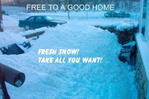 FREESNOW Small Web view.jpg