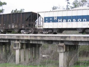 Hoppers on Bridge.jpg
