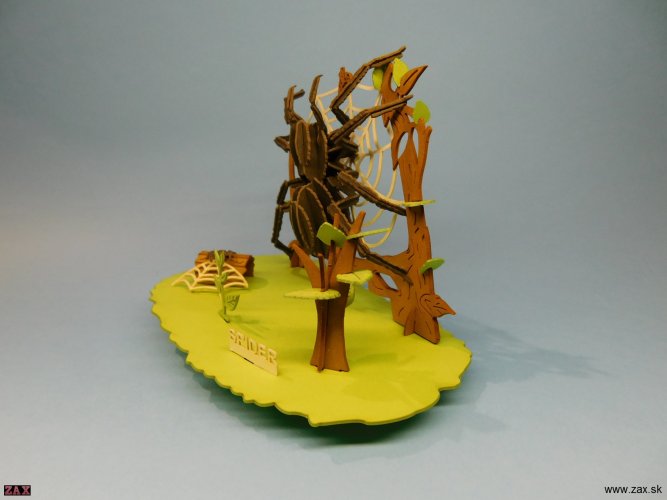DSCN8223.jpg
