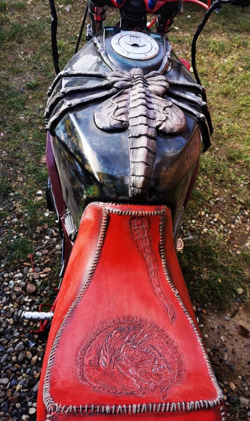 Alien Bike.jpg