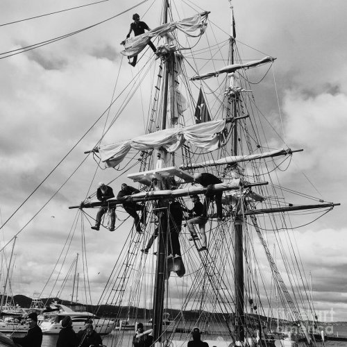 furling-the-sails-linda-lees.jpg