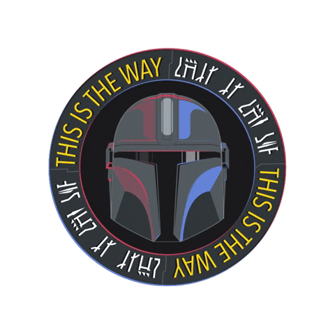 This is the way!.gif