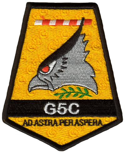 Grupo_5_de_Caza 50.png