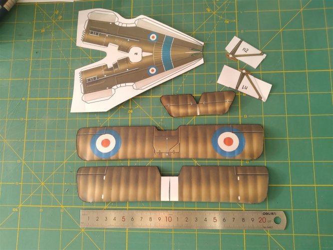 Se5a 1-48 scale.jpg