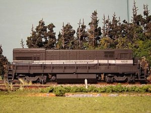 lneu23bg 003g.jpg