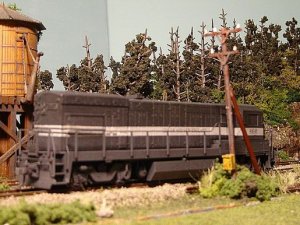 lneu23bg 004g.jpg