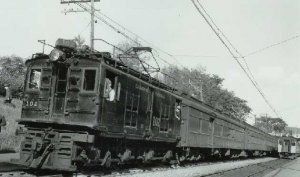 mtroyal2.jpg
