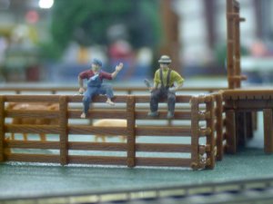Watching Cattle.jpg