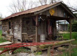 cabin2.jpg