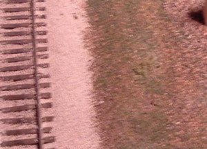 dirt.jpg