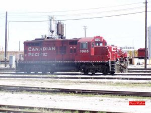 P1010026.jpg