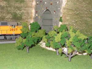 Trees at tunnel 1.jpg