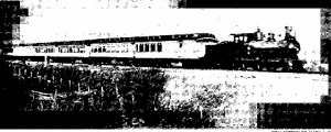 whitetrain2.jpg
