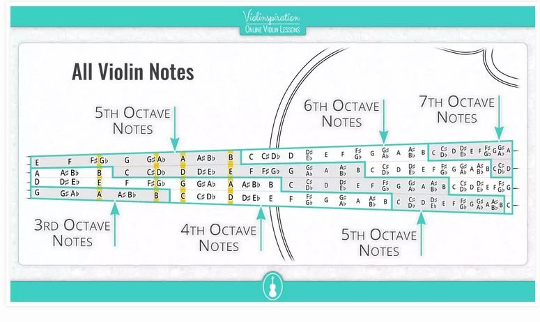 Violin note placement..jpg