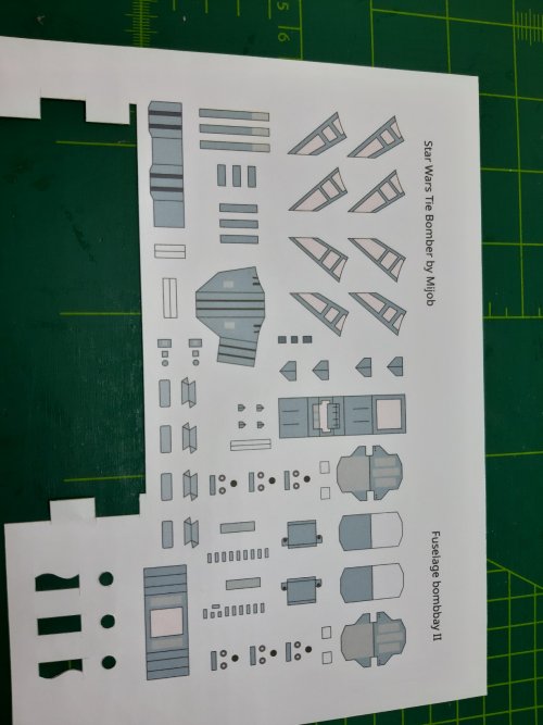 20230429_171727.jpg