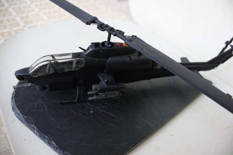 K800_Puma (1).JPG