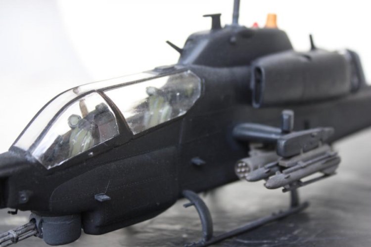 K800_Puma (3).JPG