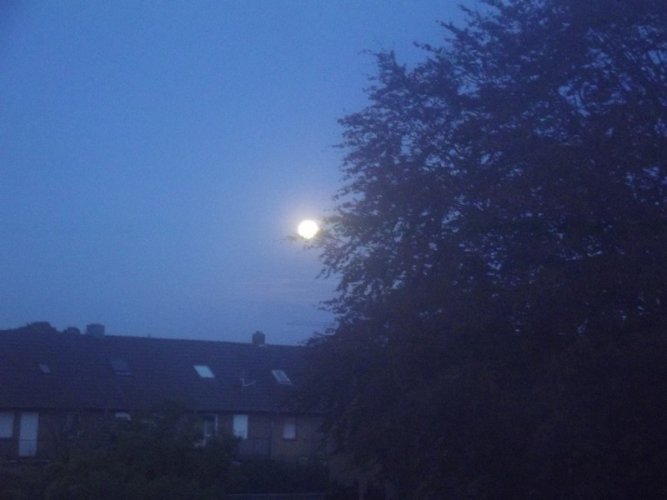 DSCF2605.jpg
