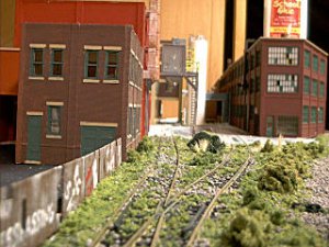 the siding.jpg