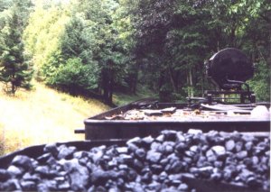 view5.jpg