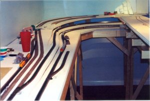 lower branch1.jpg