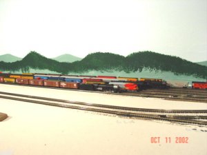 in the yard.jpg
