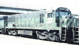 bn5631.jpg