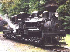 shay2p.jpg