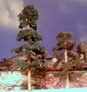 trees1.jpg