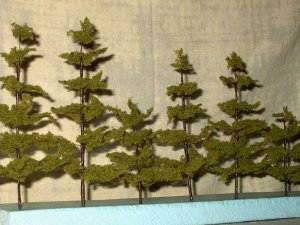 big trees710.jpg