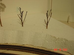 sedge trimmed.jpg